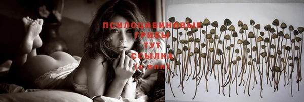 альфа пвп Барнаул